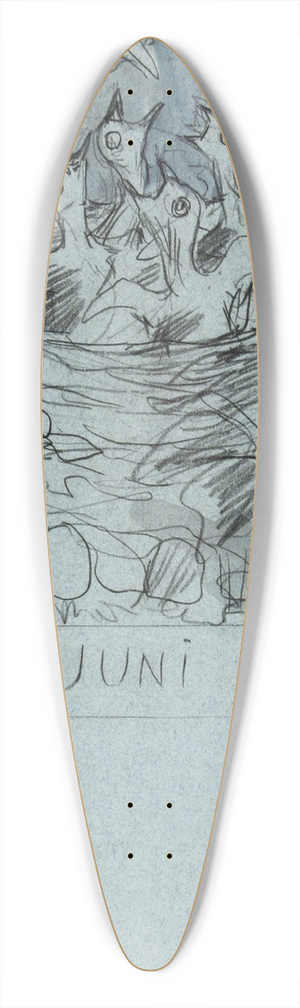 Theo van Hoytema - Merelnest, juni 39.3 inch art pintail longboard deck