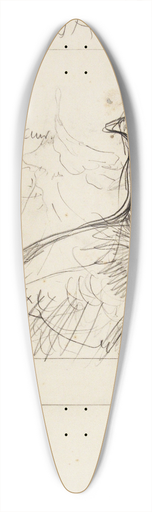 Theo van Hoytema - Pauw, januari 39.3 inch art pintail longboard deck