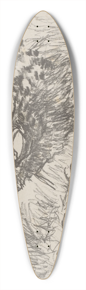 Theo van Hoytema - Tureluur bij nest 39.3 inch art pintail longboard deck