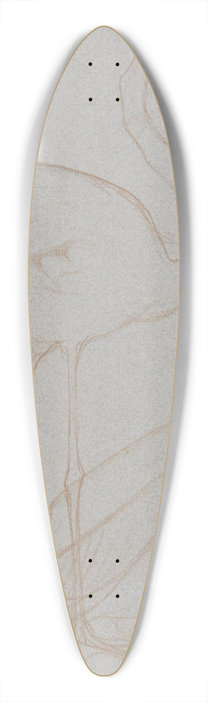 Theo van Hoytema - Twee studies van een flamingo 39.3 inch art pintail longboard deck Theo van Hoytema - Twee studies van een flamingo 39.3 inch art pintail longboard deck