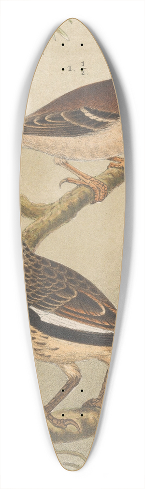 Theo van Hoytema - Two Birds On Branches 39.3 inch art pintail longboard deck Theo van Hoytema - Two Birds On Branches 39.3 inch art pintail longboard deck