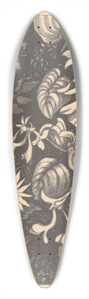 Theo van Hoytema - Wilde planten en bloemen 39.3 inch art pintail longboard deck