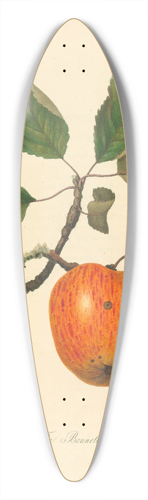 Thomas Andrew Knight - Bennett Apple 39.3 inch art pintail longboard deck