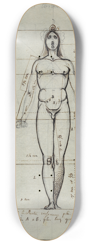 David Humbert de Superville - Staand mannelijk naakt, frontaal: met proportielijnen 8.25 inch art skate deck