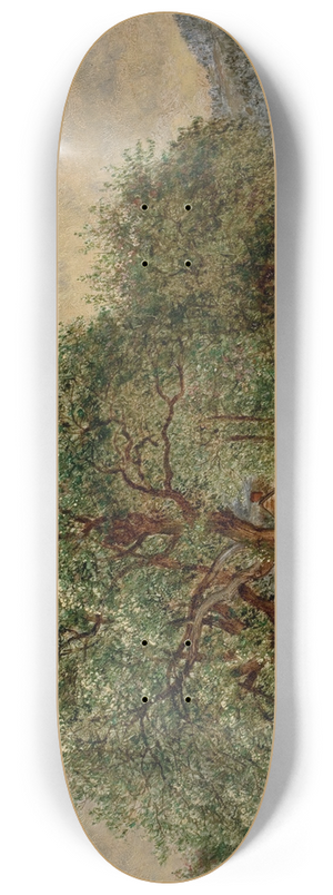 David Johnson - Spring Time 8.25 inch art skate deck