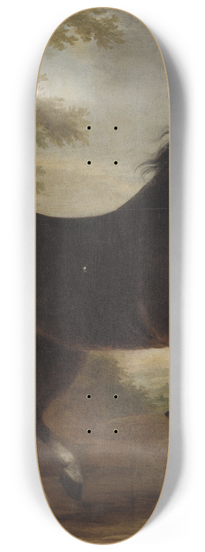 David Klcker Ehrenstrahl - Karl XIs livhst Tott 8.25 inch art skate deck