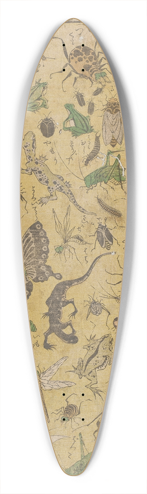 Tsukioka Yoshitoshi - New Publication of Selected Insects 39.3 inch art pintail longboard deck
