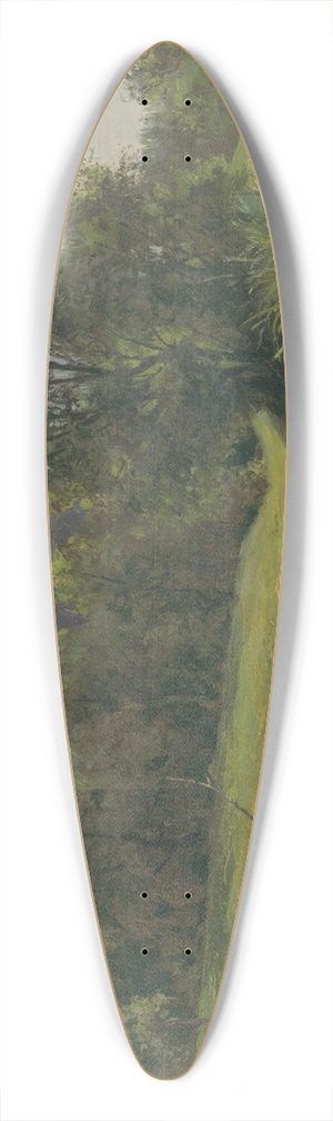 udovt ordk - Moarina pod Slaneckm hradom 39.3 inch art pintail longboard deck