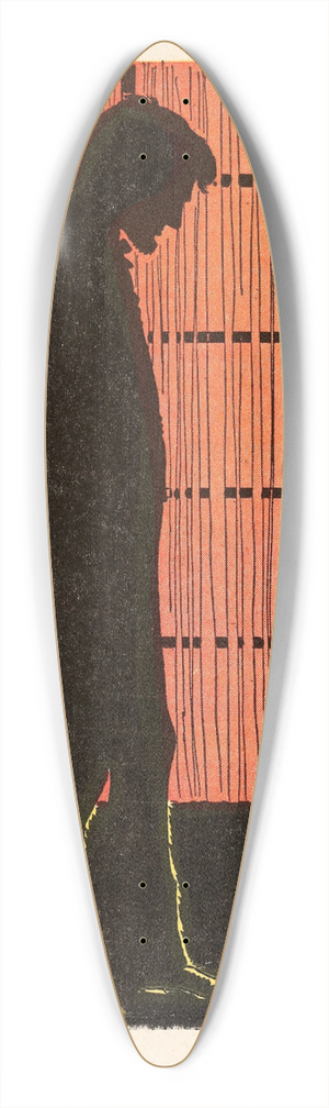 U.S. Information Agency - Purposes 39.3 inch art pintail longboard deck