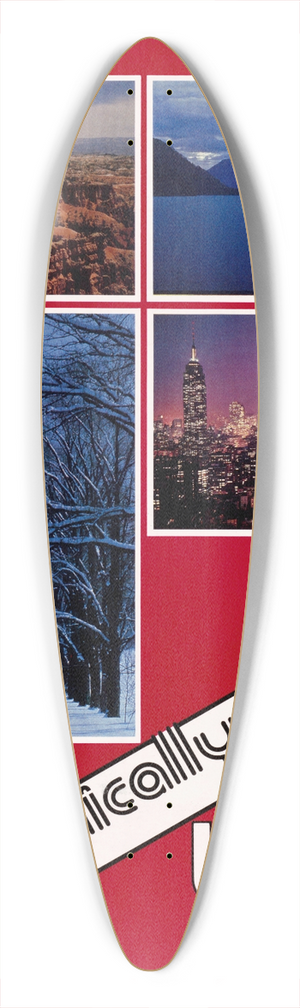 U.S. Information Agency - Scenically Yours, USA 39.3 inch art pintail longboard deck