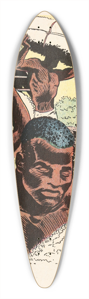 U.S. Information Agency - Slavery 39.3 inch art pintail longboard deck