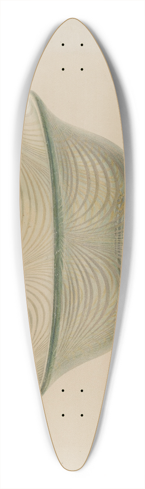 Van Silvay - Bowl 39.3 inch art pintail longboard deck