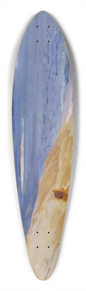 Venny Soldan-Brofeldt - Antti on a Rocky Beach 39.3 inch art pintail longboard deck