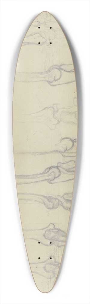 Victor Mller - Studies of bones 39.3 inch art pintail longboard deck