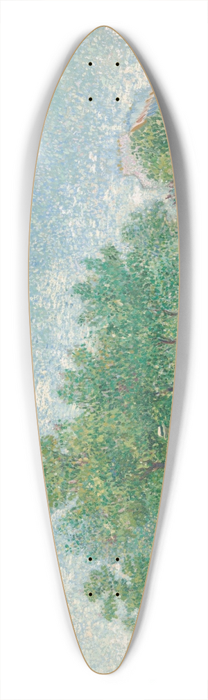 Vincent van Gogh - Square Saint-Pierre,Paris 39.3 inch art pintail longboard deck