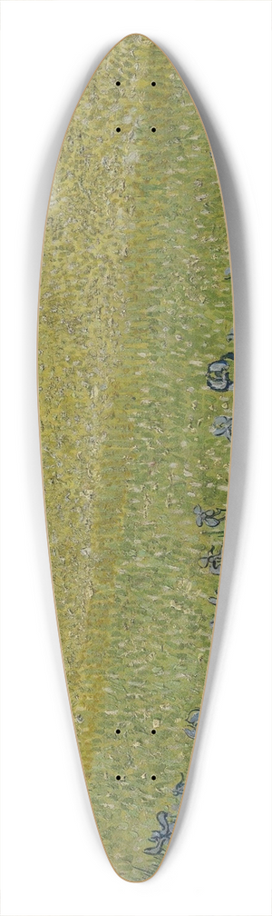 Vincent van Gogh - View of Arles with Irises 39.3 inch art pintail longboard deck