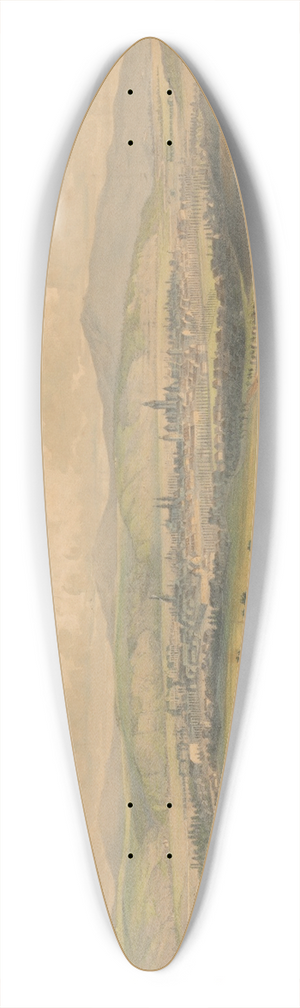 Vojtech Klimkovi - View Of Kosice 39.3 inch art pintail longboard deck