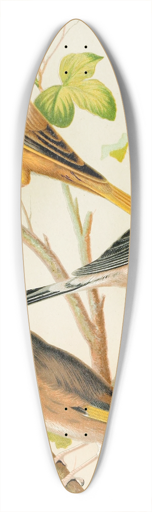 W. A . Blakston - Greenfinch And Linnet, Bullfinch And Goldfinch, Greenfitch And Canary Mule 39.3 inch art pintail longboard deck