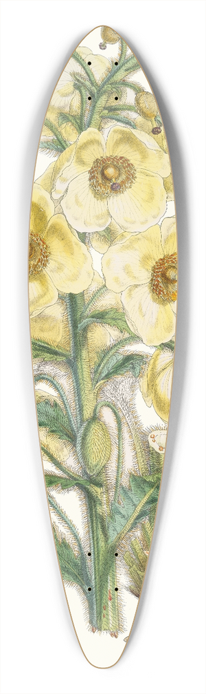 Walter Hood Fitch - Meconopsis Nepalensis, dc. 39.3 inch art pintail longboard deck