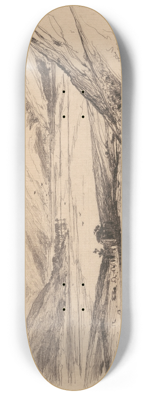 David Young Cameron - St. Marys Loch 8.25 inch art skate deck