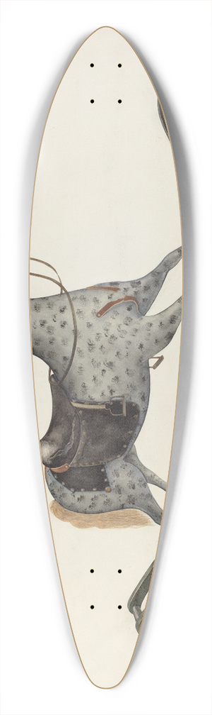 Wilbur M Rice - Hobby Horse 39.3 inch art pintail longboard deck