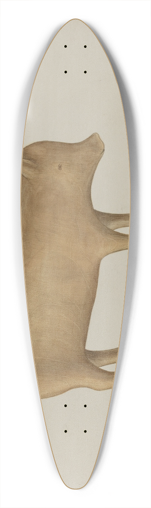 Wilbur M Rice - Wooden Pig 39.3 inch art pintail longboard deck
