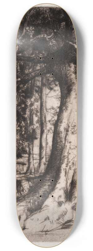 David Young Cameron - The Sycamore 8.25 inch art skate deck David Young Cameron - The Sycamore 8.25 inch art skate deck