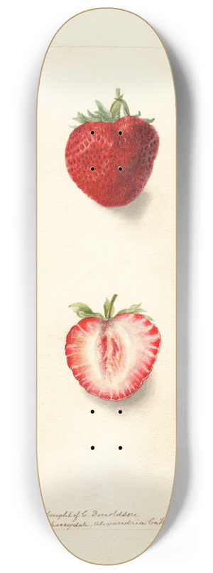 Deborah Griscom Passmore - Fragaria: Nick Ohmer 8.25 inch art skate deck