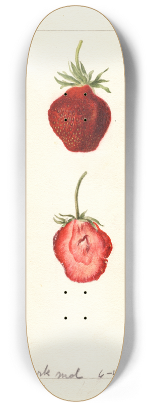 Deborah Griscom Passmore - Fragaria: Seaford 8.25 inch art skate deck
