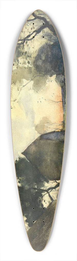 Willem de Zwart - Evening Mood 39.3 inch art pintail longboard deck