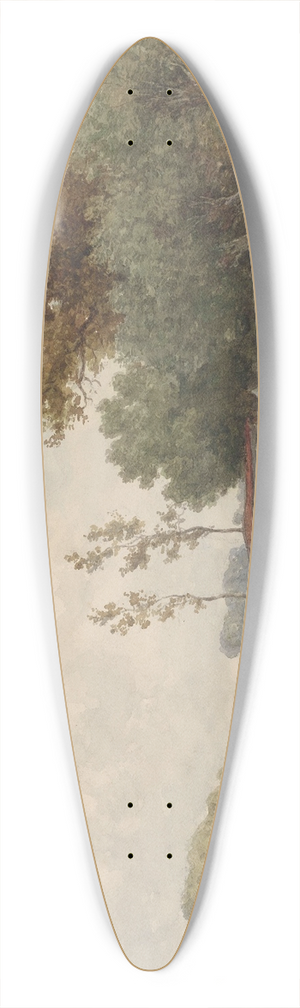 Willem Roelofs - Landschap met water en eenden 39.3 inch art pintail longboard deck Willem Roelofs - Landschap met water en eenden 39.3 inch art pintail longboard deck