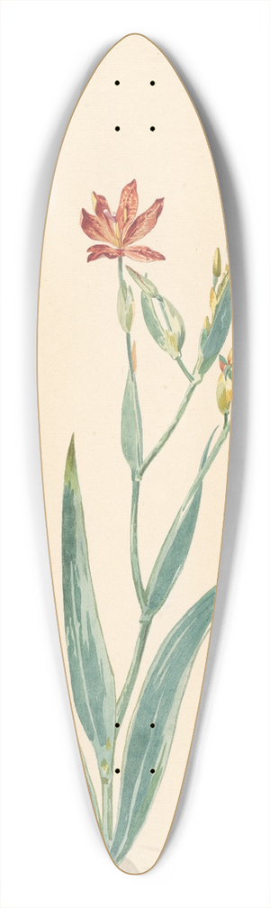 Willem van Leen - Luipaardbloem in een landschap 39.3 inch art pintail longboard deck
