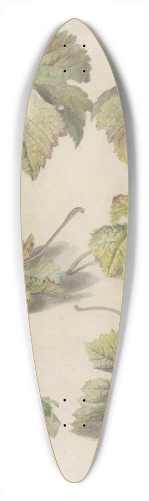 Willem van Leen - Studies van wingerdbladen 39.3 inch art pintail longboard deck
