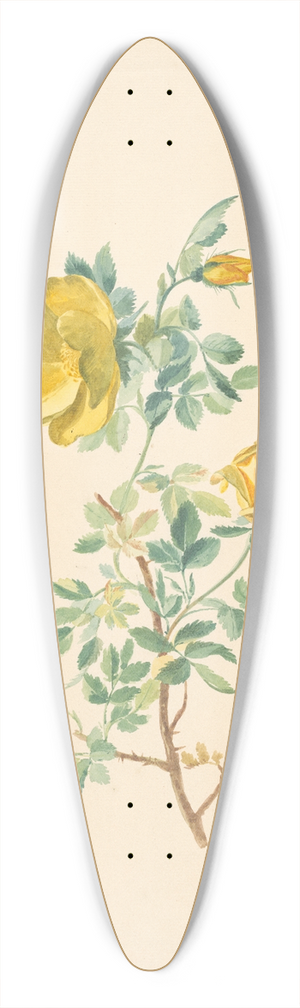 Willem van Leen - Tak van een gele roos (Rosa Lutea) 39.3 inch art pintail longboard deck
