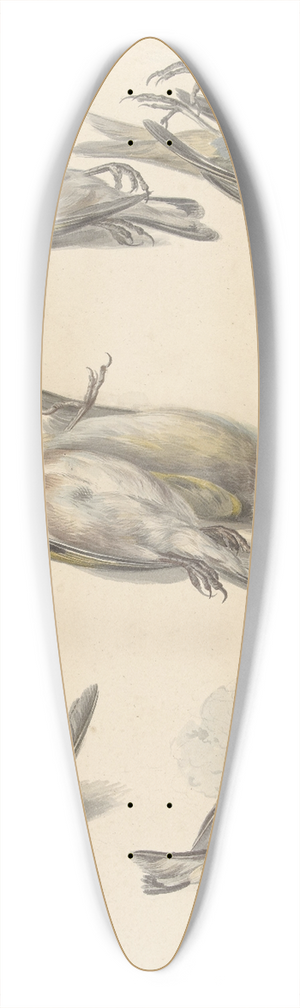 Willem van Leen - Zes dode vogeltjes 39.3 inch art pintail longboard deck