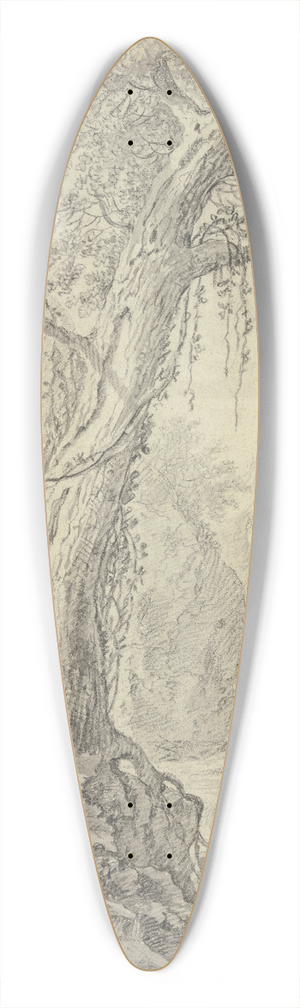 Willem von Bemmel - Wasserfall, dabei ein groer Baum 39.3 inch art pintail longboard deck