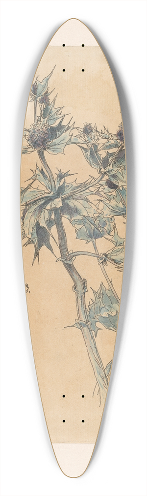 Willem Wenckebach - Distels 39.3 inch art pintail longboard deck Willem Wenckebach - Distels 39.3 inch art pintail longboard deck