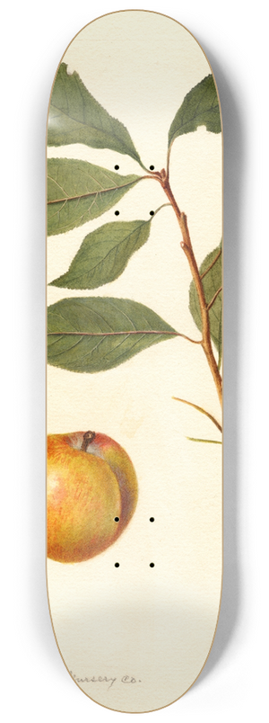 Deborah Griscom Passmore - Prunus domestica 8.25 inch art skate deck