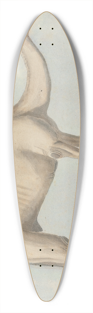 Willey Reveley - A Camel 39.3 inch art pintail longboard deck