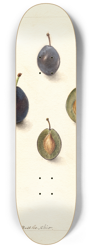 Deborah Griscom Passmore - Prunus domestica: Mt 8.25 inch art skate deck