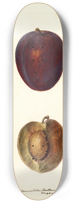 Deborah Griscom Passmore - Prunus domestica: Pacific Prune 8.25 inch art skate deck