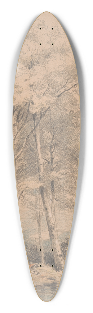 William Alfred Delamotte - Llandovery Castle, South Wales 39.3 inch art pintail longboard deck