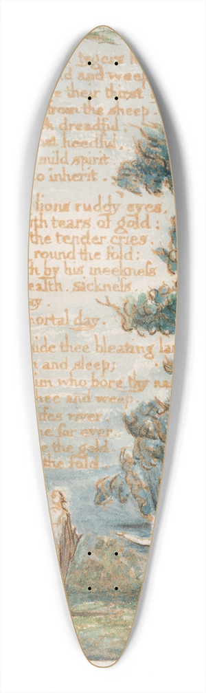 William Blake - Pl. 19  Night 39.3 inch art pintail longboard deck