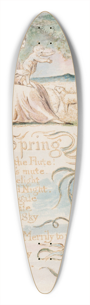 William Blake - Pl. 7  Spring 39.3 inch art pintail longboard deck