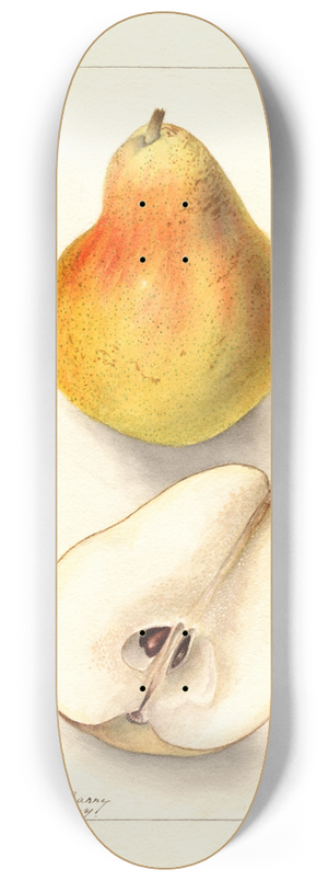 Deborah Griscom Passmore - Pyrus communis: Dorsett 8.25 inch art skate deck