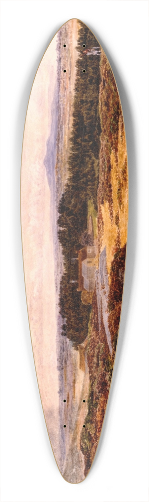 William Davis - View from Bidston Hill 39.3 inch art pintail longboard deck