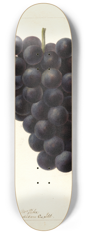 Deborah Griscom Passmore - Vitis: McPike 8.25 inch art skate deck
