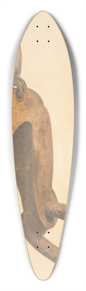 William Frank - Anchor Trip Hook 39.3 inch art pintail longboard deck