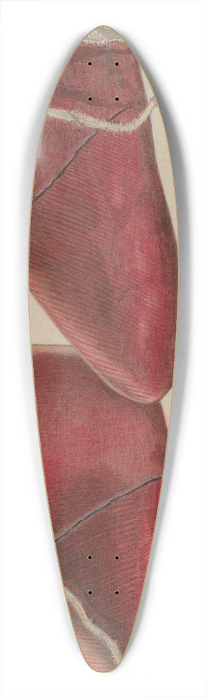 William Frank - Babys Shoe 39.3 inch art pintail longboard deck