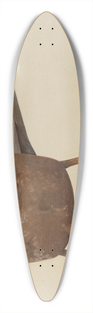 William Frank - Skillet 39.3 inch art pintail longboard deck